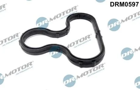 Ремонтний комплект, генератор DR.MOTOR DRM0597