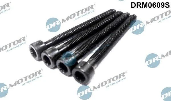 Гвинт форсунки (к-кт 4шт) VAG 1.9 TDI 2000- DR.MOTOR DRM0609S (фото 1)