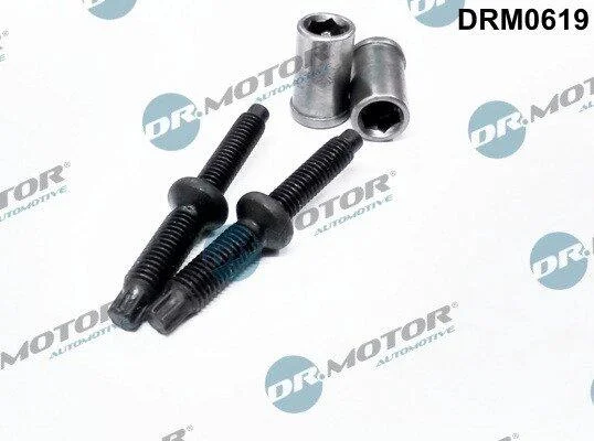 Комплект болтів з головкою системи TORX з чорного металу DR.MOTOR DRM0619 (фото 1)
