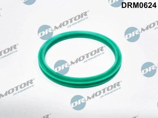 Ущільнювальне кільце, шланг подачі наддувального повітря DR.MOTOR DRM0624 (фото 1)