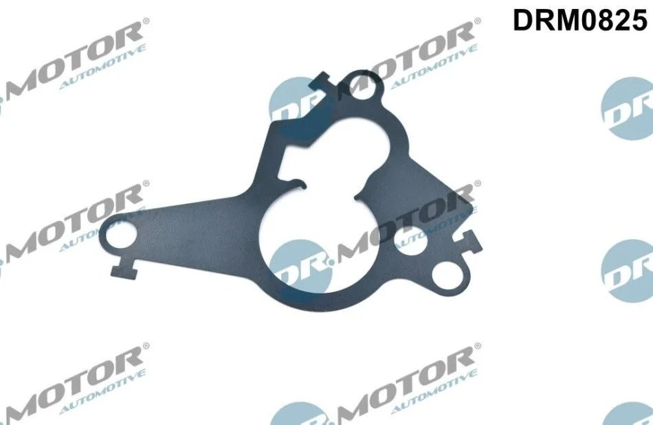 Ущільнення, поршень вакуумного насоса DR.MOTOR DRM0825 (фото 1)