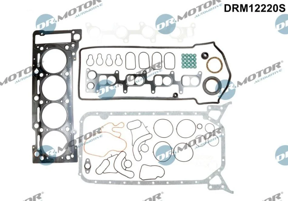 Повний комплект ущільнень, двигун DR.MOTOR DRM12220S (фото 1)
