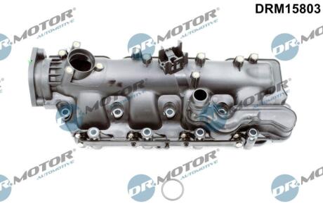 Модуль впускної труби DR.MOTOR DRM15803