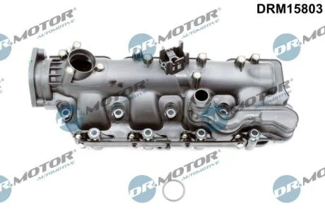 Модуль впускної труби DR.MOTOR DRM15803