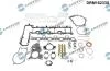 Повний комплект ущільнень, двигун DR.MOTOR DRM16233S (фото 1)