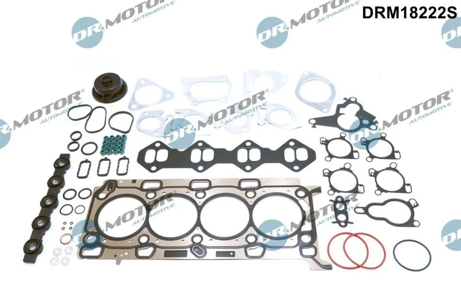 Повний комплект ущільнень, двигун DR.MOTOR DRM18222S (фото 1)