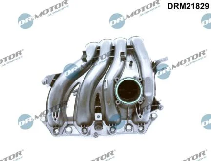 Модуль впускної труби DR.MOTOR DRM21829