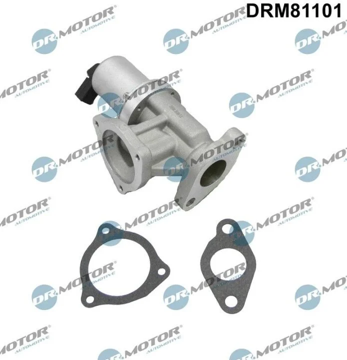 Клапан системи рециркуляції ВГ DR.MOTOR DRM81101 (фото 1)