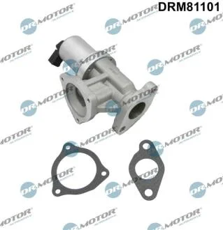Клапан системи рециркуляції ВГ DR.MOTOR DRM81101