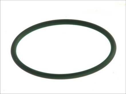 Ущільнювальне кільце DT 1.18369