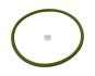 Ущільнювальне кільце DT 3.89478 (фото 1)
