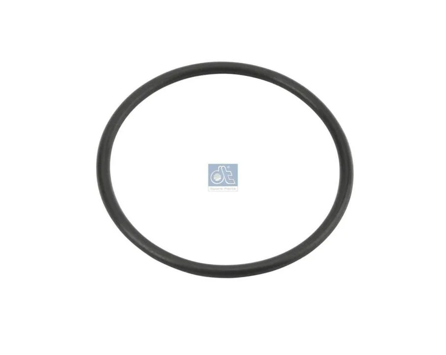 Ущільнююче кільце гальм.колод. DT 6.60280 (фото 1)