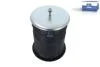 Подушка амортизуюча DT 7.12024 (фото 1)