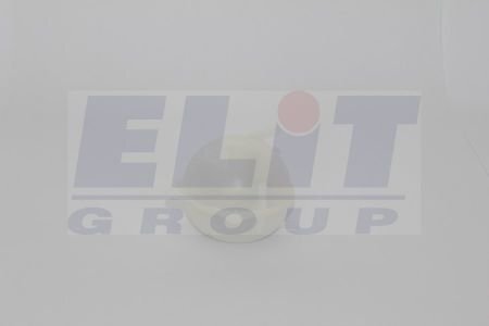 Розширювальний бачок ELIT 6N0121407A