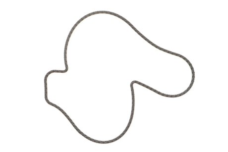 Ущільнення, водяний насос ELRING 107.170