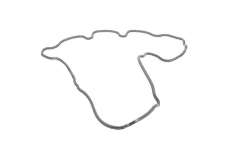 Прокладка кришки клапанів ELRING 571.730