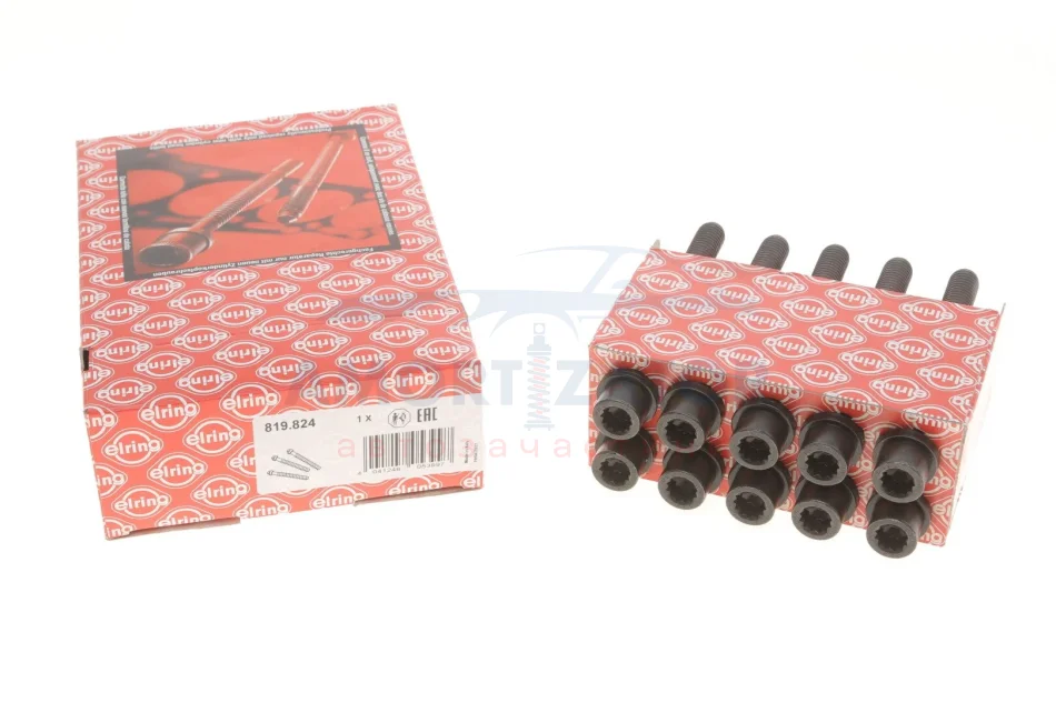 Болти головки блоку циліндрів (комплект) ELRING 819.824 (фото 1)
