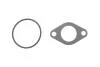 Комплект прокладок клапану EGR (2 шт) AUDI A3 SEAT CORDOBA, IBIZA III SKODA FABIA I, FABIA I PRAKTIK, OCTAVIA I VW NEW BEETLE, POLO IV 1.9D 01.00- ELRING 934.780 (фото 1)