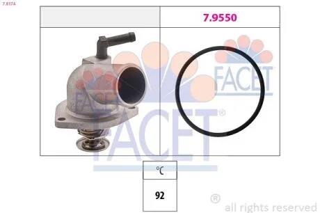 Термостат, охолоджувальна рідина FACET 78174