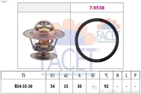 Термостат, охолоджувальна рідина FACET 78279