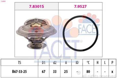 Термостат, охолоджувальна рідина FACET 78301