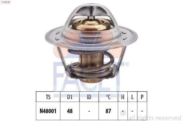 Термостат, охолоджувальна рідина FACET 7.8374S (фото 1)