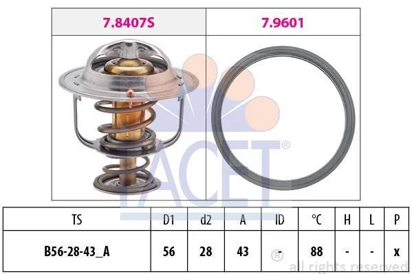 Термостат, охолоджувальна рідина FACET 7.8408 (фото 1)