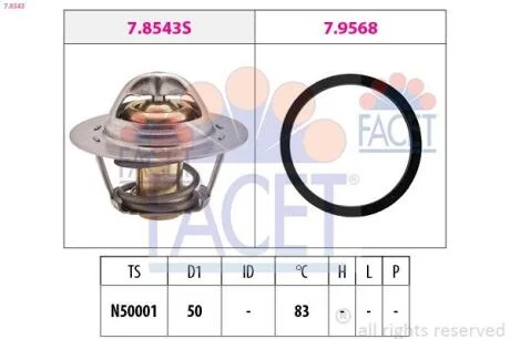 Термостат, охолоджувальна рідина FACET 78543