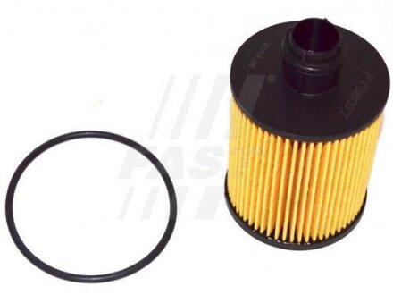 Фільтр масляний (вставка) Fiat Doblo 1,3D 10-/Bravo 1.6D Multijet 08-/Citroen Nemo 10- FAST FT38077