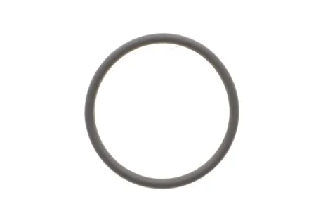 Прокладення двигуна FEBI BILSTEIN 100077