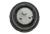 Подушка двигуна FEBI BILSTEIN 10142 (фото 3)