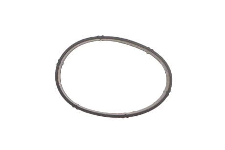 Кільце ущільнююче дросельної заслінки FEBI BILSTEIN 106506