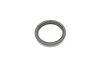 К-т підшипників ступиці FEBI BILSTEIN 173678 (фото 4)