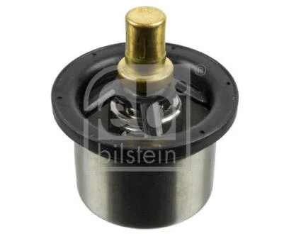 Термостат, охолоджувальна рідина FEBI BILSTEIN 173719