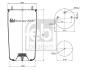 Пневмоподушка FEBI BILSTEIN 20881 (фото 1)
