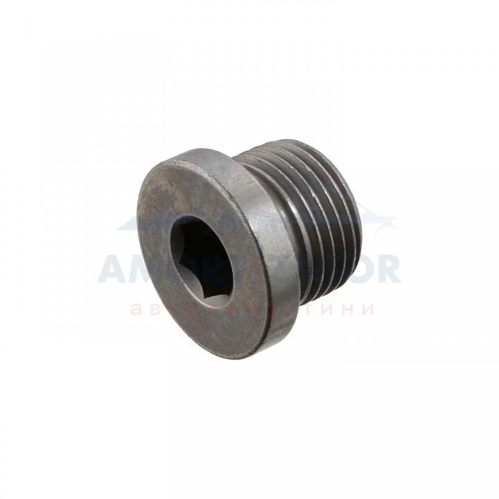 FEBI BMW пробка масляного піддону FEBI BILSTEIN 48896 (фото 1)