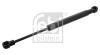 Газовий амортизатор FEBI BILSTEIN 49807 (фото 1)