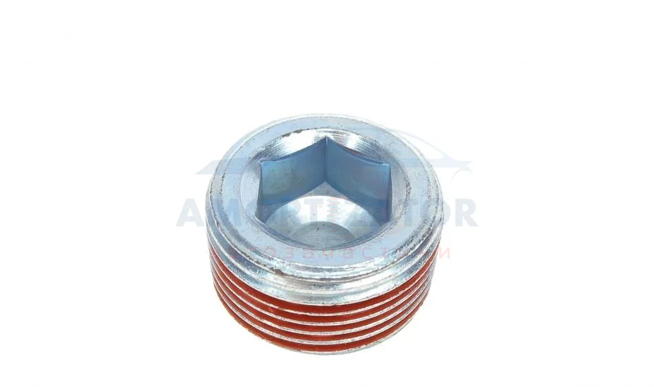 Пробка піддону FA1 Fischer Automotive One (FA1) 257.821.001 (фото 1)