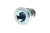 Пробка піддону автомобіля Fischer Automotive One (FA1) 539.970.011 (фото 3)