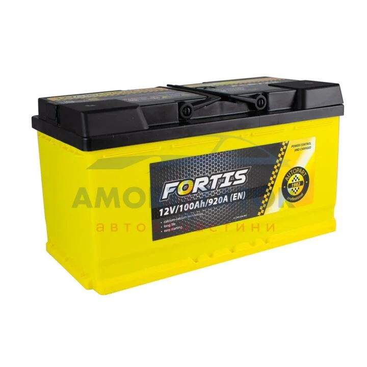 АКБ 100 Ah/920A 12V FORTIS (0) Euro Fortis FRT10000 (фото 1)