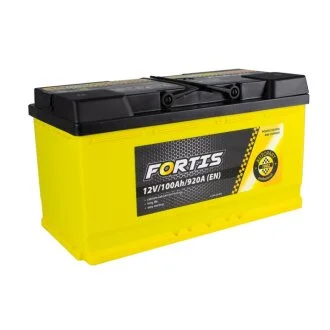АКБ 100 Ah/920A 12V FORTIS (0) Euro Fortis FRT10000