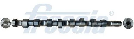 Розподільчий вал FRECCIA CM052142
