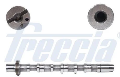 Розподільчий вал FRECCIA CM052189