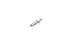 Поршень супорта перед Sprinter/Crafter 06- (59.5x48) FRENKIT 748760 (фото 20)