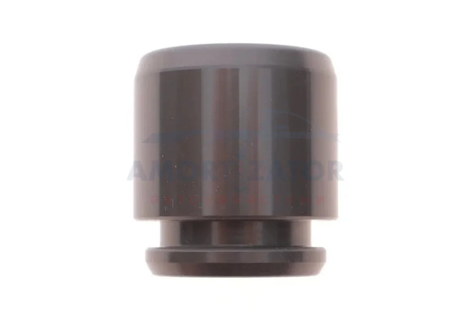 Поршень супорта пер. BMW 1/3 06-/Cayenne 02-/Touareg 02-(28x30mm)(Brembo) FRENKIT P283001 (фото 1)