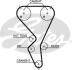 Пасок ГРМ 135Z Citroen C2/C4 04- /Peugeot 206 03-/307 03- GATES 5615XS (фото 1)