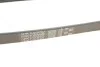 Поліклиновий ремінь GATES 5PK1023HD (фото 4)