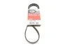 Ремінь генератора поліклиновий GATES 5PK1248 (фото 1)