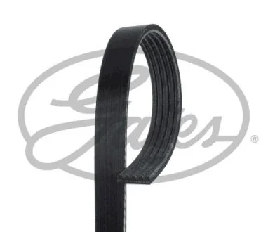 Ремінь GATES 5PK955
