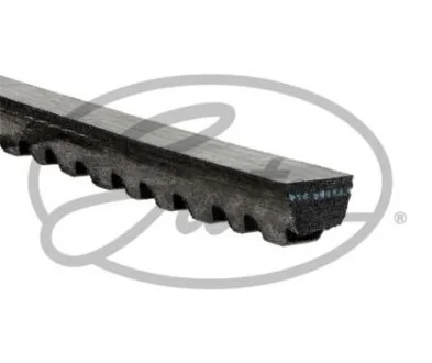 Клиновий ремінь GATES 6310MC